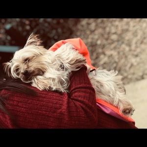 Meet your Posher, Mallory